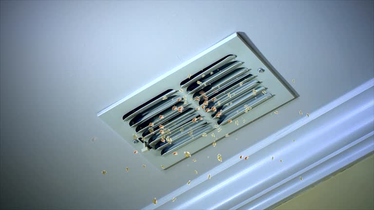 Best Local Air Duct Cleaning Services  in Columbiana, AL