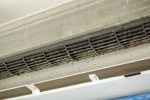 Best Air Quality Test  in Columbiana, AL